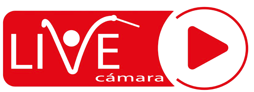 Presupuesto Orquesta